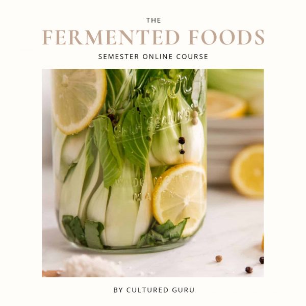 Fermented Foods Semester