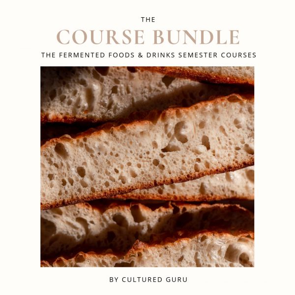 Fermented Foods & Drinks Semester Bundle