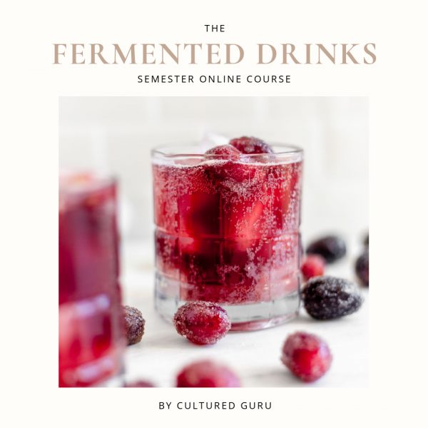 Fermented Drinks Semester